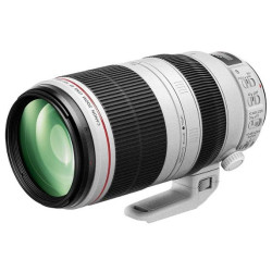 Canon EF 100-400mm f/4.5-5.6L IS II USM Lens