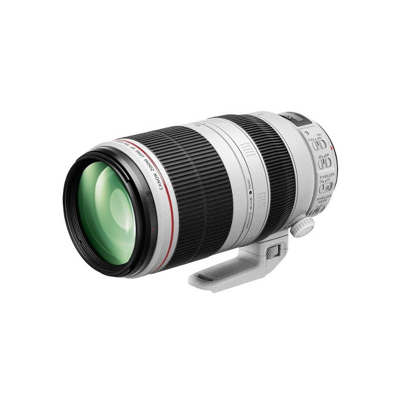 Canon EF 100-400mm f/4.5-5.6L IS II USM Lens