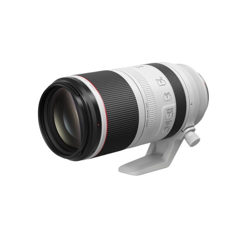 Canon RF100-500mm F4.5-7.1 L IS USM Lens