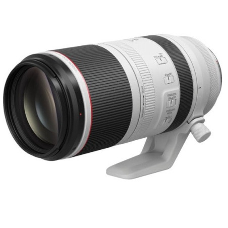 Canon RF100-500mm F4.5-7.1 L IS USM Lens