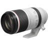 Canon RF100-500mm F4.5-7.1 L IS USM Lens