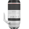 Canon RF100-500mm F4.5-7.1 L IS USM Lens