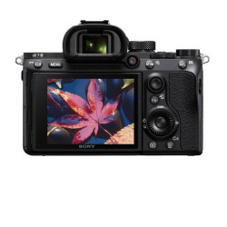 Sony Alpha a7 III Mirrorless 4K Video Camera (Body Only)