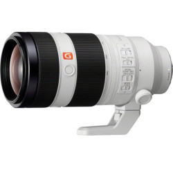 Sony FE 100-400mm f/4.5-5.6 GM OSS Super Telephoto Zoom Lens